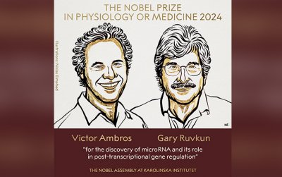 Tibb üzrə Nobel qalibləri açıqlandı