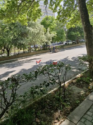 AMEA-nın həyətində çayxana tikilir: Alimlər narazıdır,  akademiya isə susur