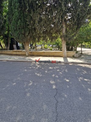 AMEA-nın həyətində çayxana tikilir: Alimlər narazıdır,  akademiya isə susur