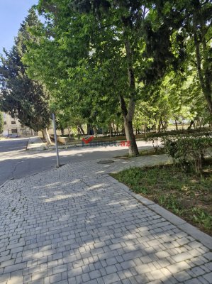 AMEA-nın həyətində çayxana tikilir: Alimlər narazıdır,  akademiya isə susur